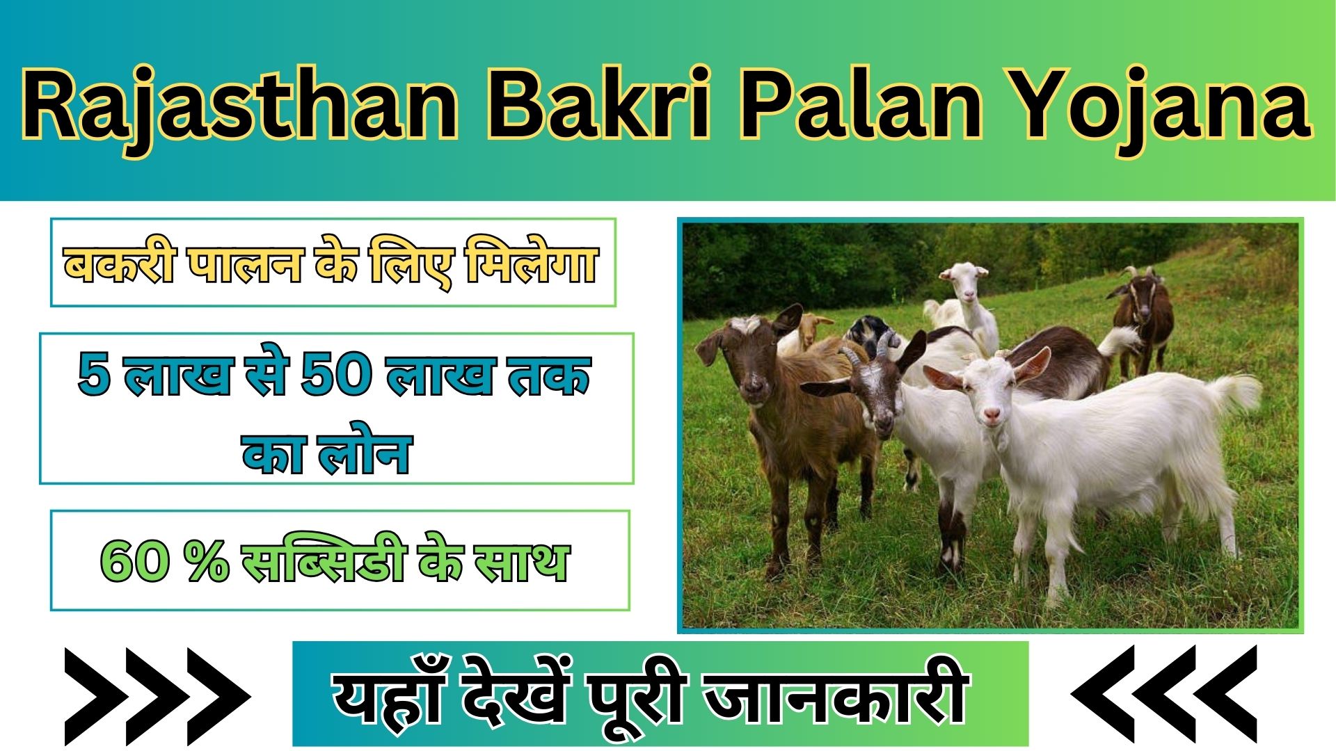 Rajasthan Bakri Palan Yojana 2024