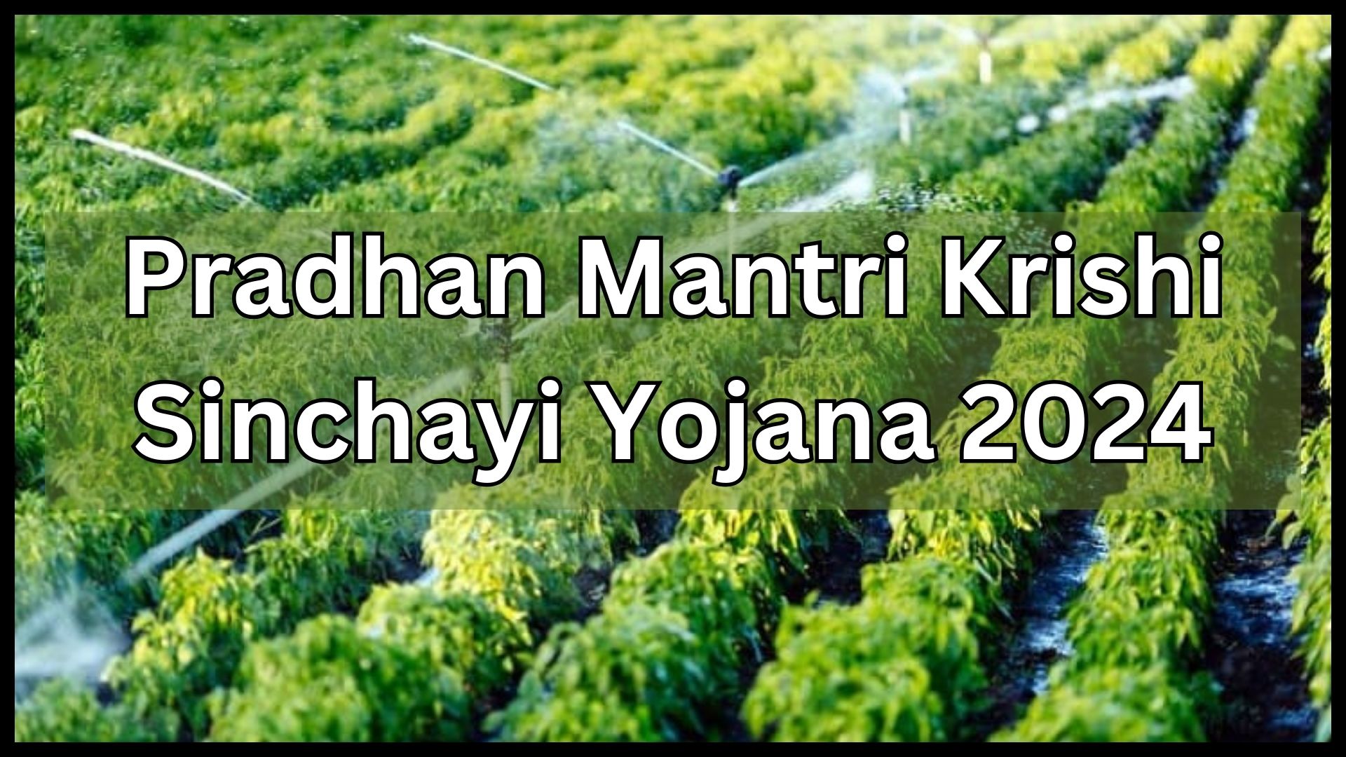 Pradhan Mantri Krishi Sinchayi Yojana 2024